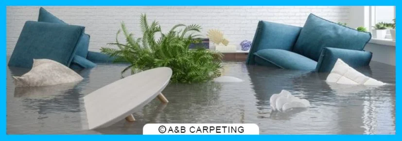 Professional Water and Fire Damage Restoration Process